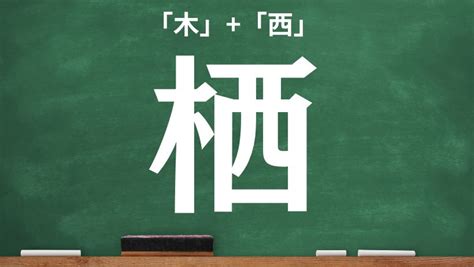 木 象|木へんに象で「橡」は何て読む？